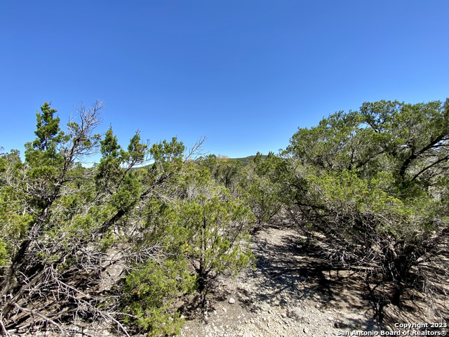 Lot 345 Pr 1747 Property Photo 6