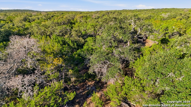 124 Restless Wind Property Photo 21