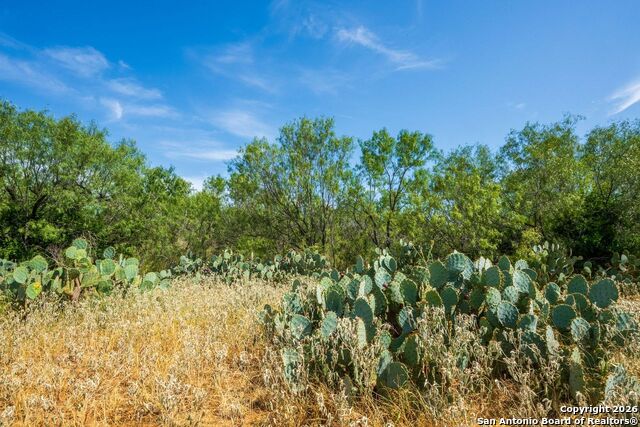 Cr 732 Cr Property Photo 1