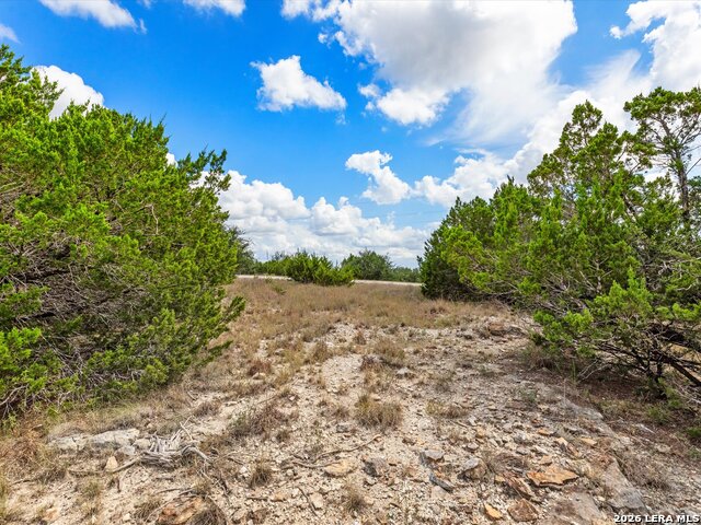331 Ridge Pt Property Photo 6