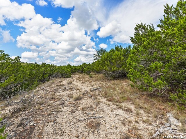 331 Ridge Pt Property Photo 7