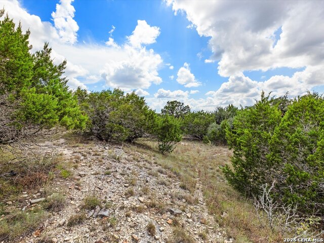 331 Ridge Pt Property Photo 9