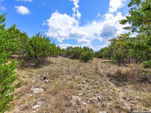 331 Ridge Pt Property Photo 10