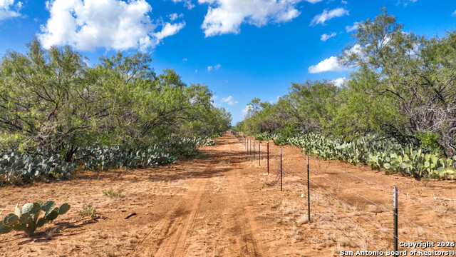 6472 Bluntzer Rd Property Photo 39