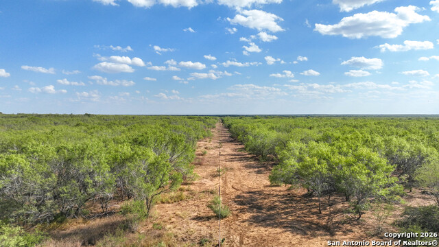 6472 Bluntzer Rd Property Photo 40