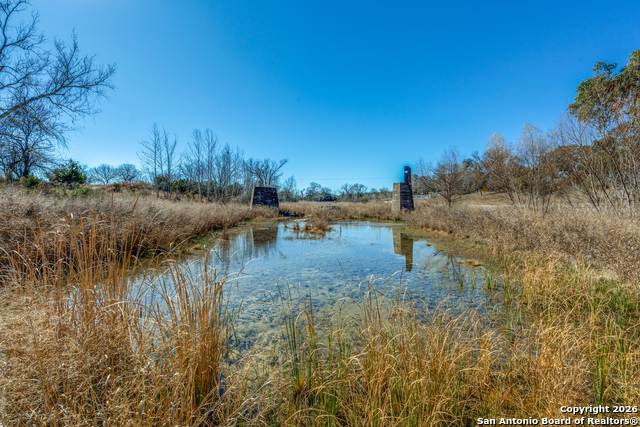 330 Waring Welfare Property Photo 6