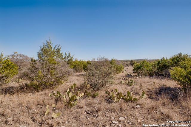 Lot 34 Spring Bluff Property Photo 7