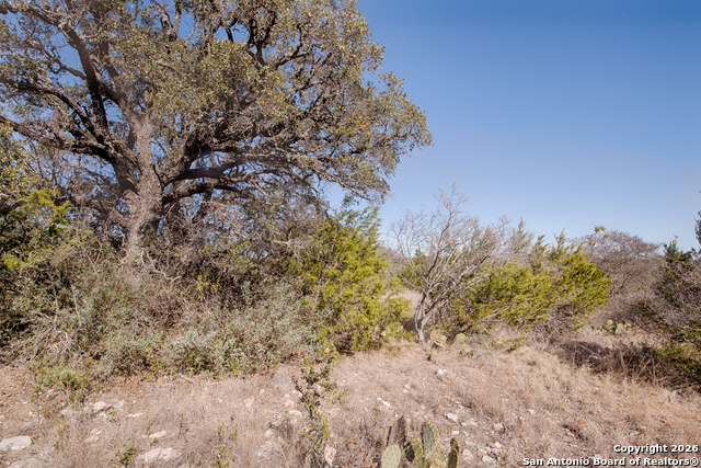 Lot 34 Spring Bluff Property Photo 8