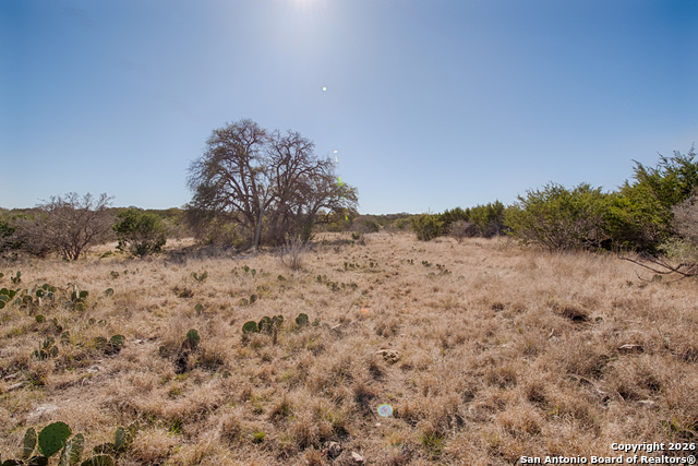 Lot 34 Spring Bluff Property Photo 10