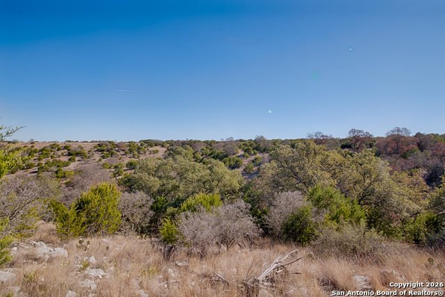 Lot 34 Spring Bluff Property Photo 11