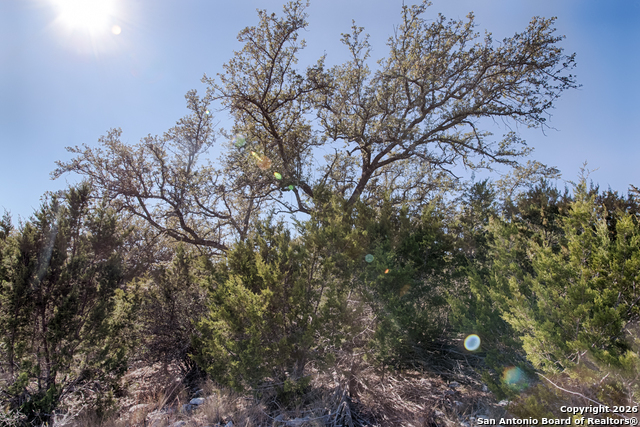 Lot 34 Spring Bluff Property Photo 12