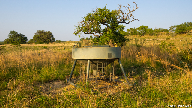 2991 Fm 470 Property Photo 44