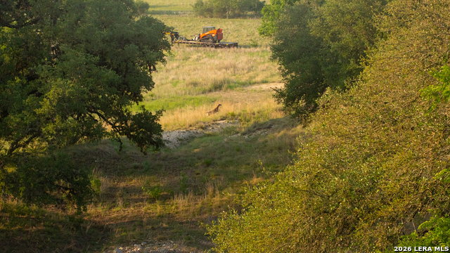 2991 Fm 470 Property Photo 46