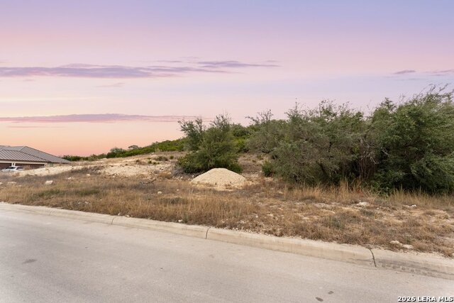 10842 Nina Ridge Property Photo 14