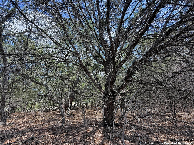 7820 Ventura Boulevard Property Photo 12