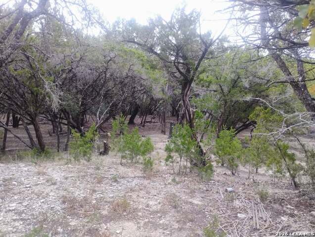0 Frio Property Photo 2