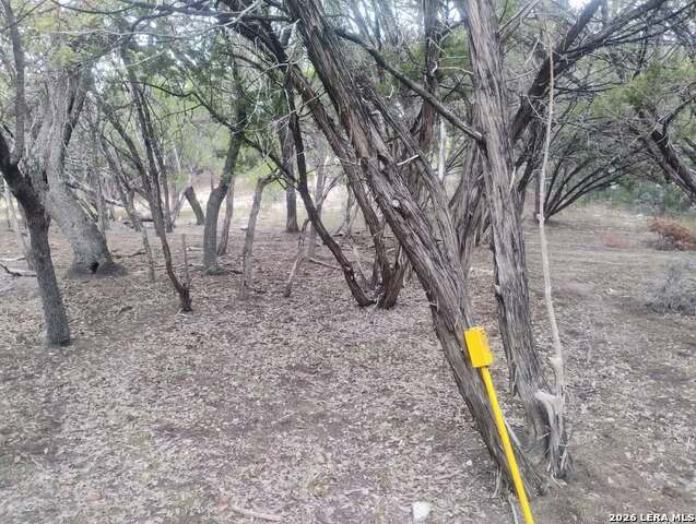 0 Frio Property Photo 3