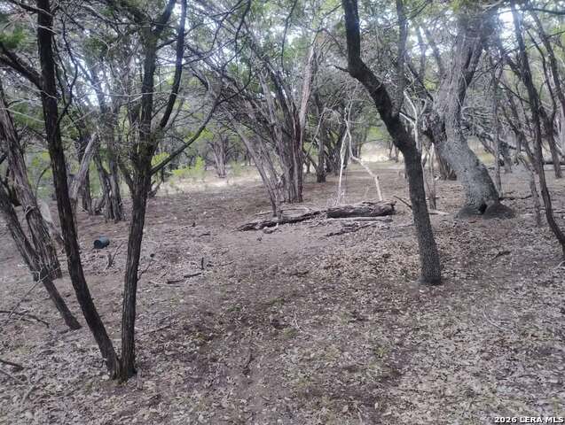0 Frio Property Photo 4