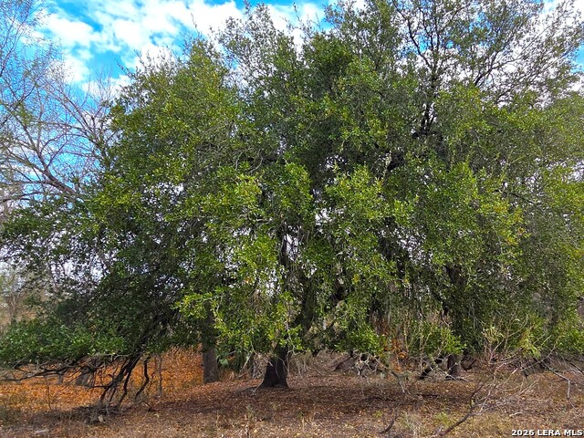 Tbd Fm 471 Property Photo 2