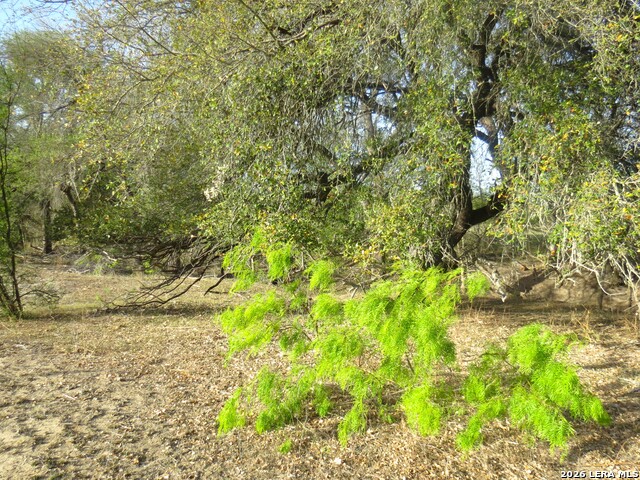 Tbd Fm 471 Property Photo 4