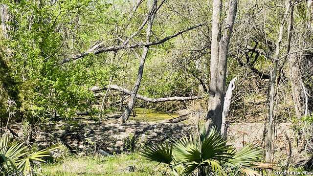 252 River Cliff Property Photo 22