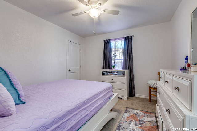 354 Ike Property Photo 13