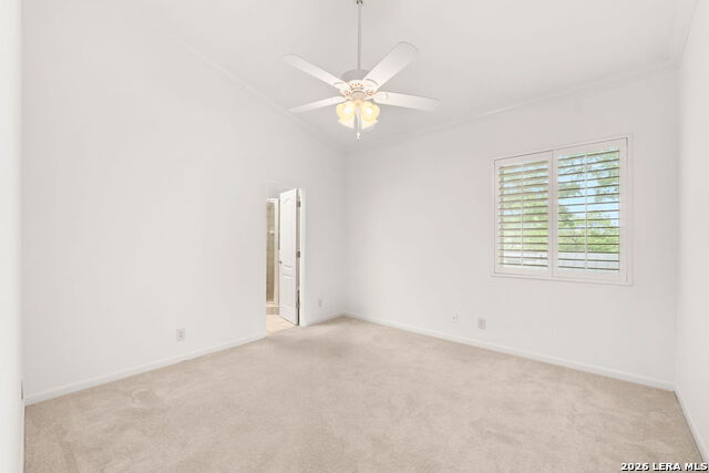 137 Saint Dennis Property Photo 17