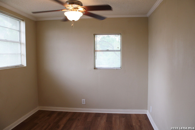 3901 N New Braunfels Property Photo 8