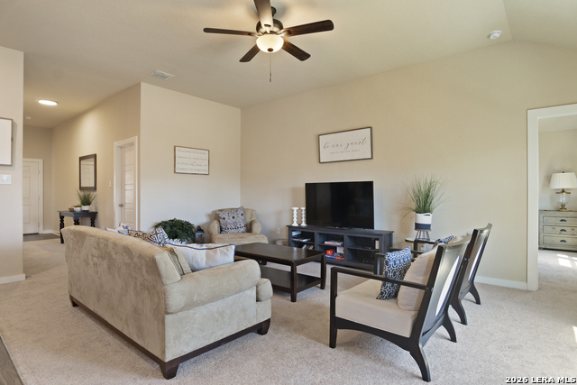 6830 Diamond Property Photo 19