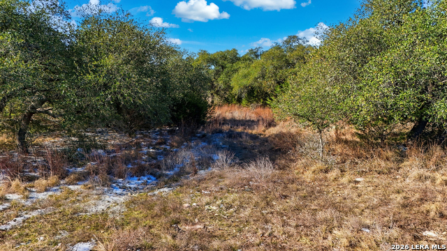 246 Dodder Property Photo 2