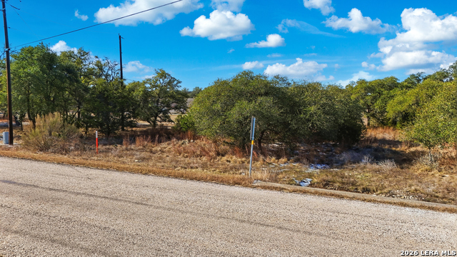 246 Dodder Property Photo 6