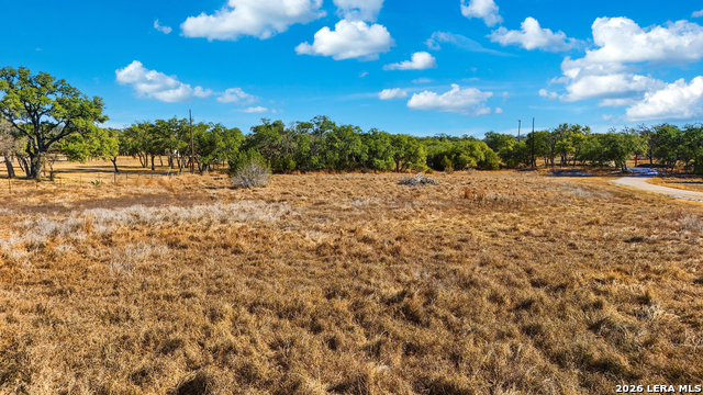 246 Dodder Property Photo 7