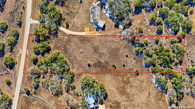 246 Dodder Property Photo 16