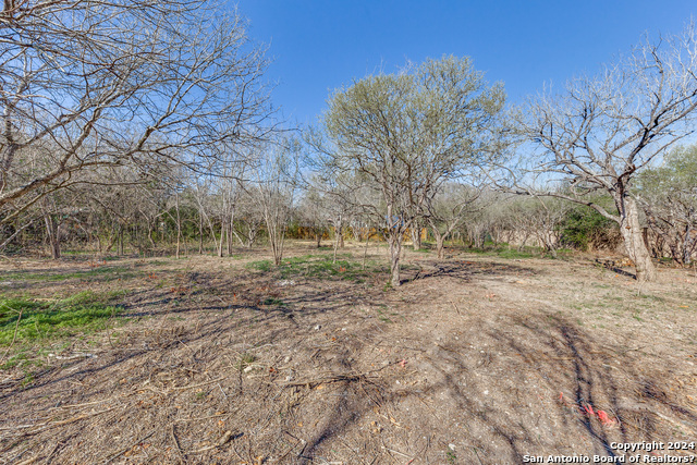 234 Rockhill Property Photo 4