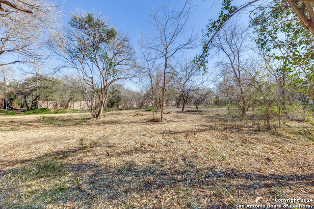 234 Rockhill Property Photo 5