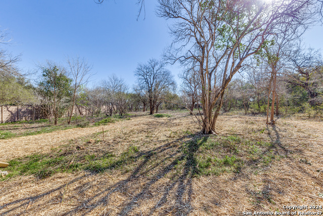 234 Rockhill Property Photo 6