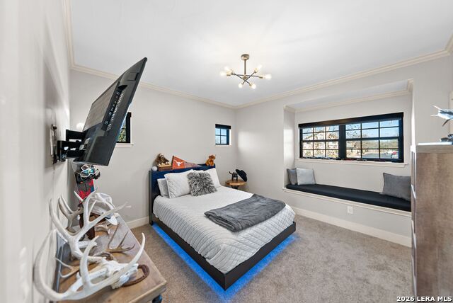 313 James St Property Photo 12