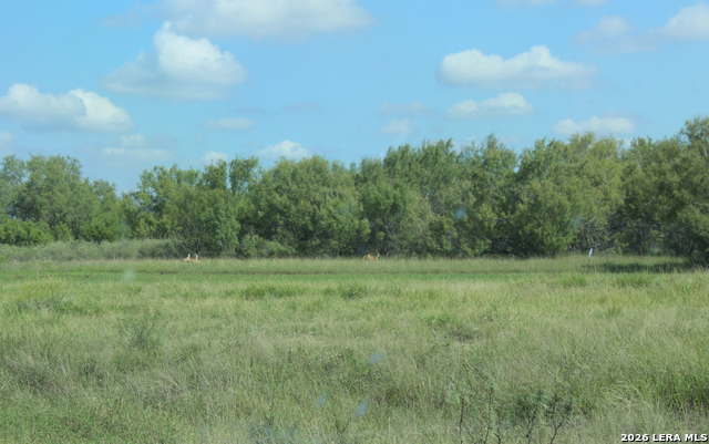 19268 C Hwy.85 Property Photo 6