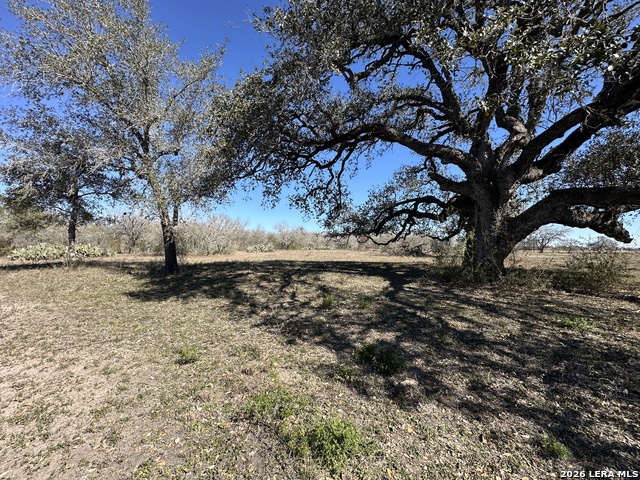 Tbd Highway 181 Property Photo 2