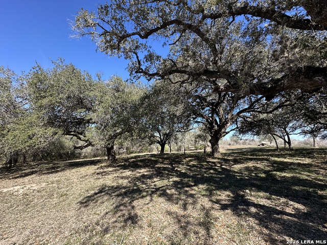 Tbd Highway 181 Property Photo 3
