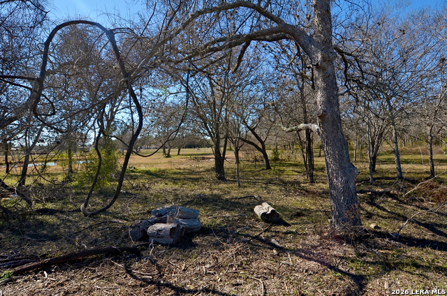 Tbd Highway 181 Property Photo 8
