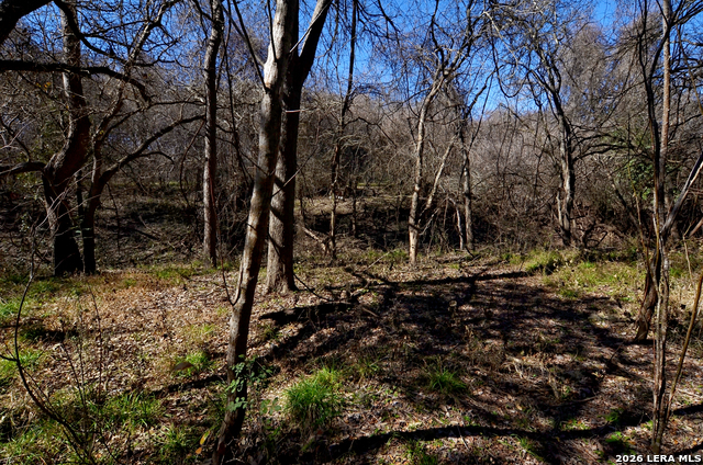 Tbd Highway 181 Property Photo 14