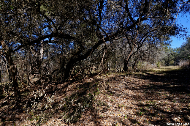 Tbd Highway 181 Property Photo 17