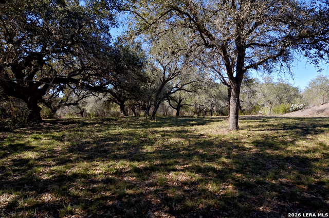 Tbd Highway 181 Property Photo 19