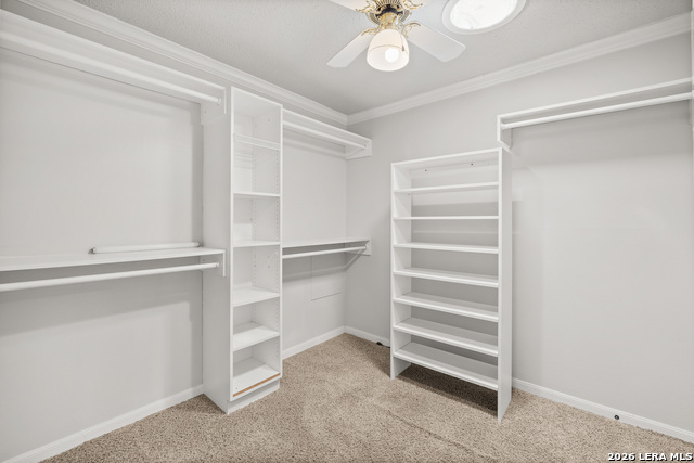 29715 Windchime Hill Property Photo 36