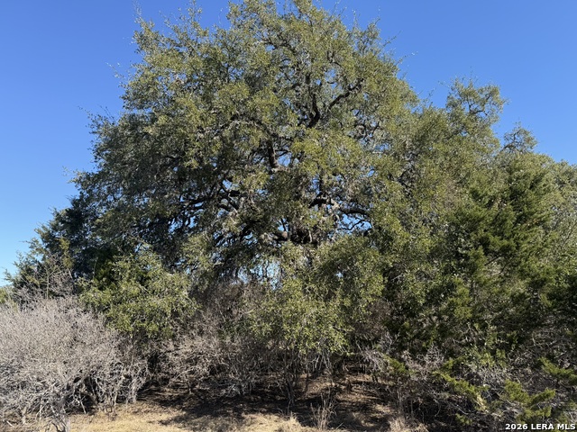 Lot 76 Horseshoe Property Photo 7