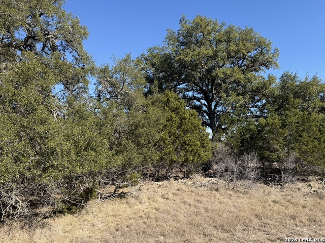 Lot 76 Horseshoe Property Photo 8