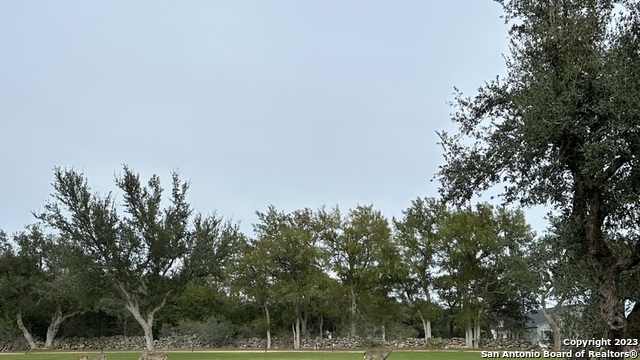 527 S Calvin Barrett Property Photo 10