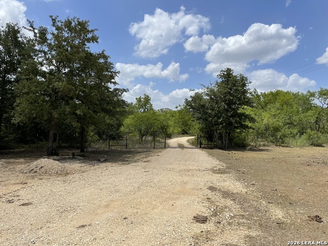 TBD Hidden Pine