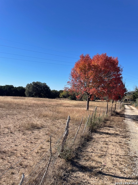 190 Gunther Property Photo 29